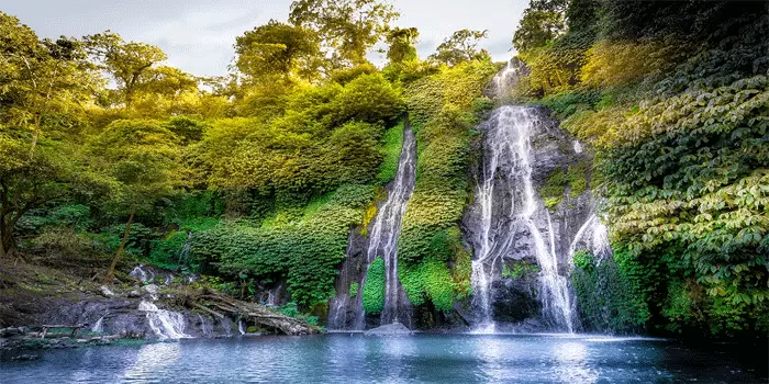 Air Terjun Pelaruga : Wisata Pemandian Alam Paling Menakjubkan