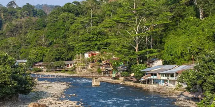 Bukit Lawang Destinasi Populer Keindahan Alam Sumatera