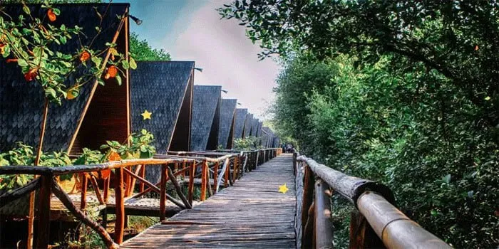 Wisata Alam Hutan Mangrove Dengan Sajian Keindahan Di Tengah Kota