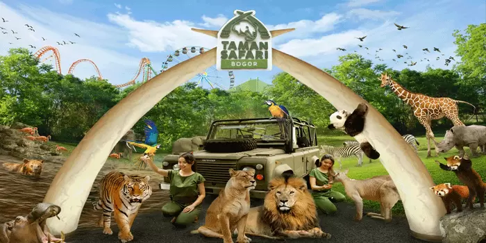 Taman Safari Bogor, Menawarkan Pengalaman Unik Dengan Satwa Liar