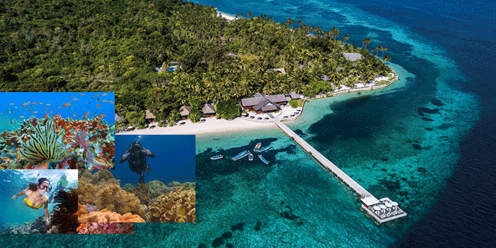 Wisata Ke Wakatobi: Menawarkan Indahnya Keindahan Alam Bawah Laut