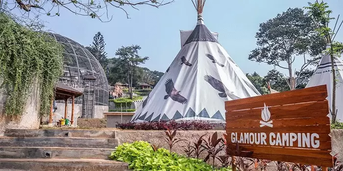 Sparks Forest Adventure Menikmati Pemandangan Indah Dan Aktivitas Outdoor