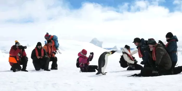 Wisata Salju Terbaik, Snow Hill Island Benua Antartika