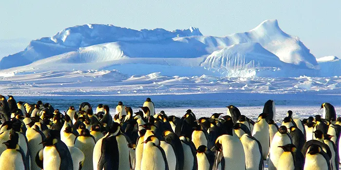 Wisata Unik di Antartika yang Jadi Destinasi Impian Para Petualang