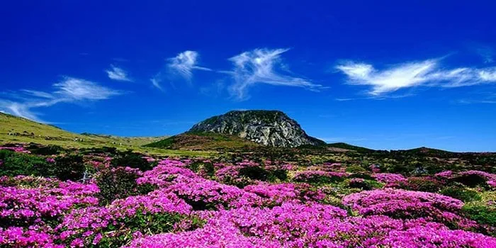 Gunung Halla – Wisata Paling Tinggi Di Korea Selatan