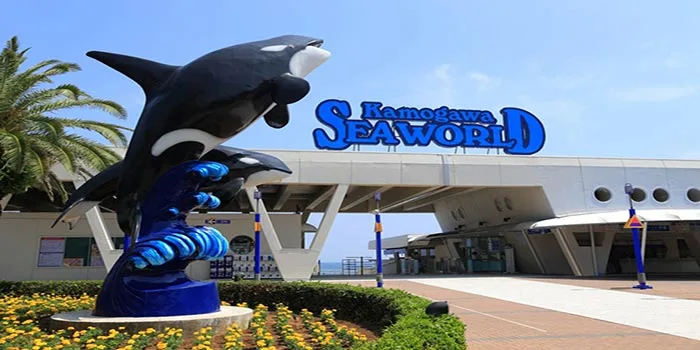 Kamogawa SeaWorld – Wisata Aquarium Untuk Liburan Keluarga