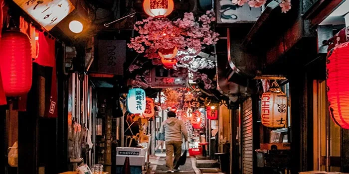 Omoide Yokocho – Wisata Malam Yang Menyenangkan Di Tokyo