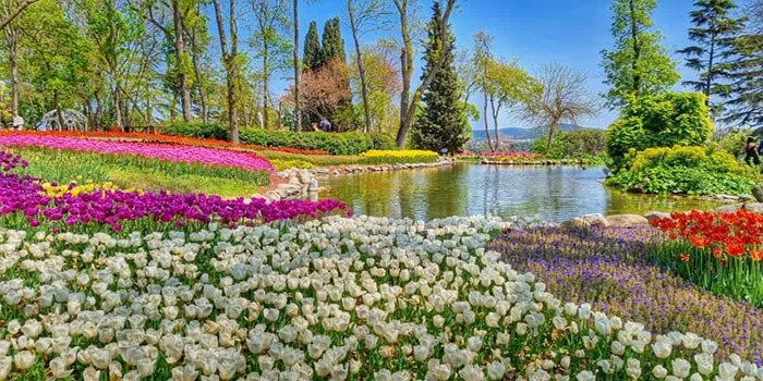 Taman Emirgan – Wisata Dengan Koleksi Bunga Tulip Yang Indah