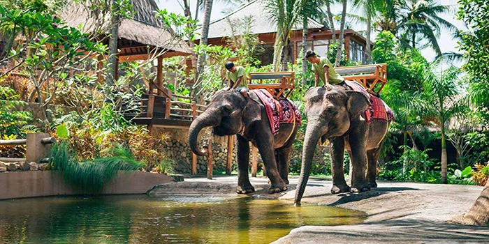 Lombok Wildlife Park – Kebun Binatang Dengan Aneka Satwa