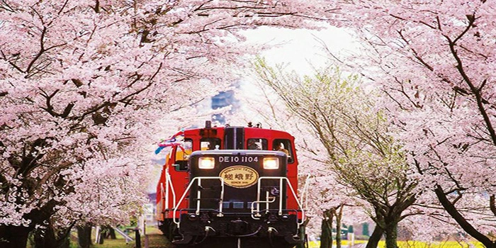 Kereta Wisata Sagano – Keliling Kyoto & Nikmati Pemandangan
