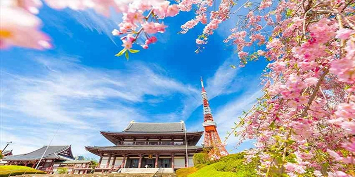 Kuil Zojoji – Wisata Religi Di Jepang Yang Berumur 600 Tahun