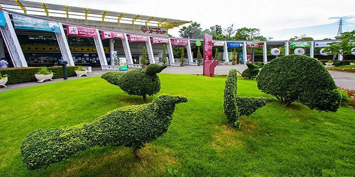 Zoorasia – Wisata Kebun Binatang Untuk Liburan Keluarga