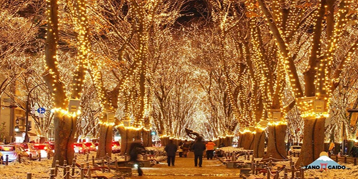 lluminasi Sendai Hikari Pageant – Wisata Yang Paling Populer