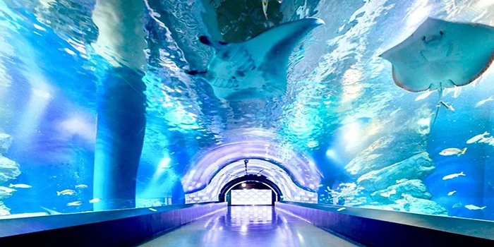 Maxell Aqua Park Shinagawa – Wisata Akuarium Indoor Terlengkap