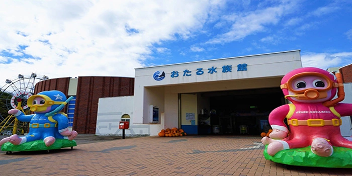 Otaru Aquarium – Wisata Akuarium Populer & Tertua Di Jepang