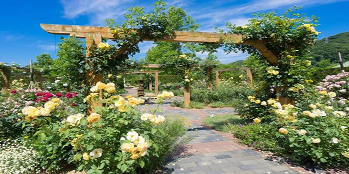 Miyama British Garden – Wisata Taman Dengan Desain Indah