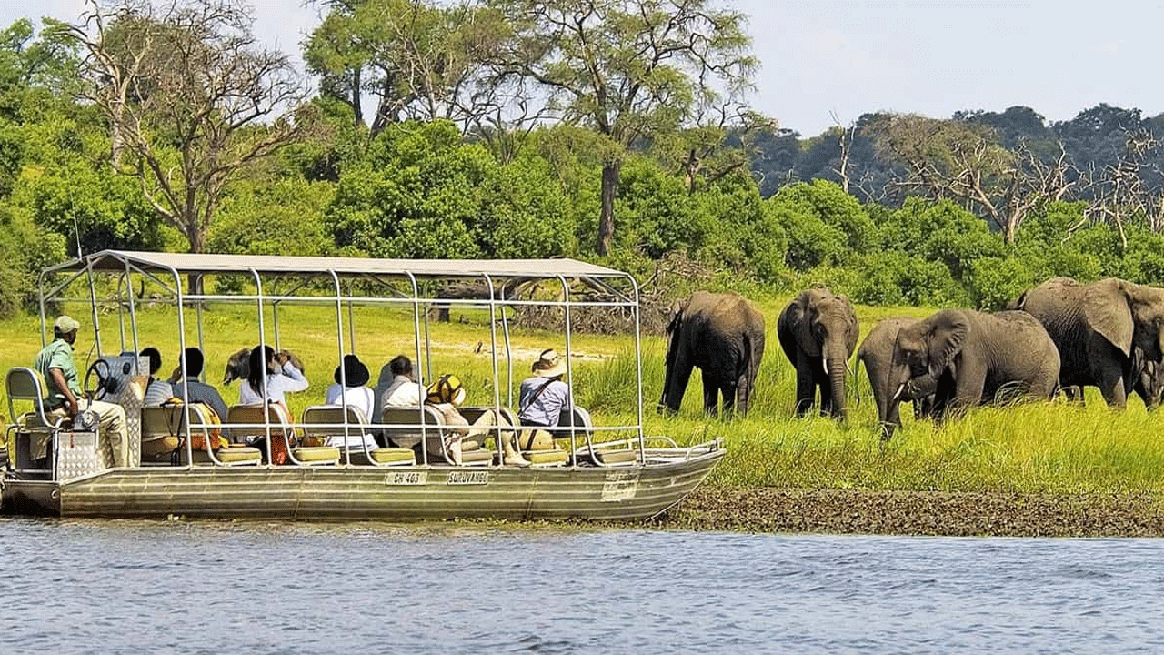 Chobe: Permata Botswana, Surga Gajah yang Memukau Hati