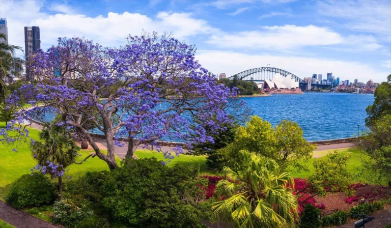 Perjalanan Berkesan Menyusuri Royal Botanic Garden Sydney yang Memukau