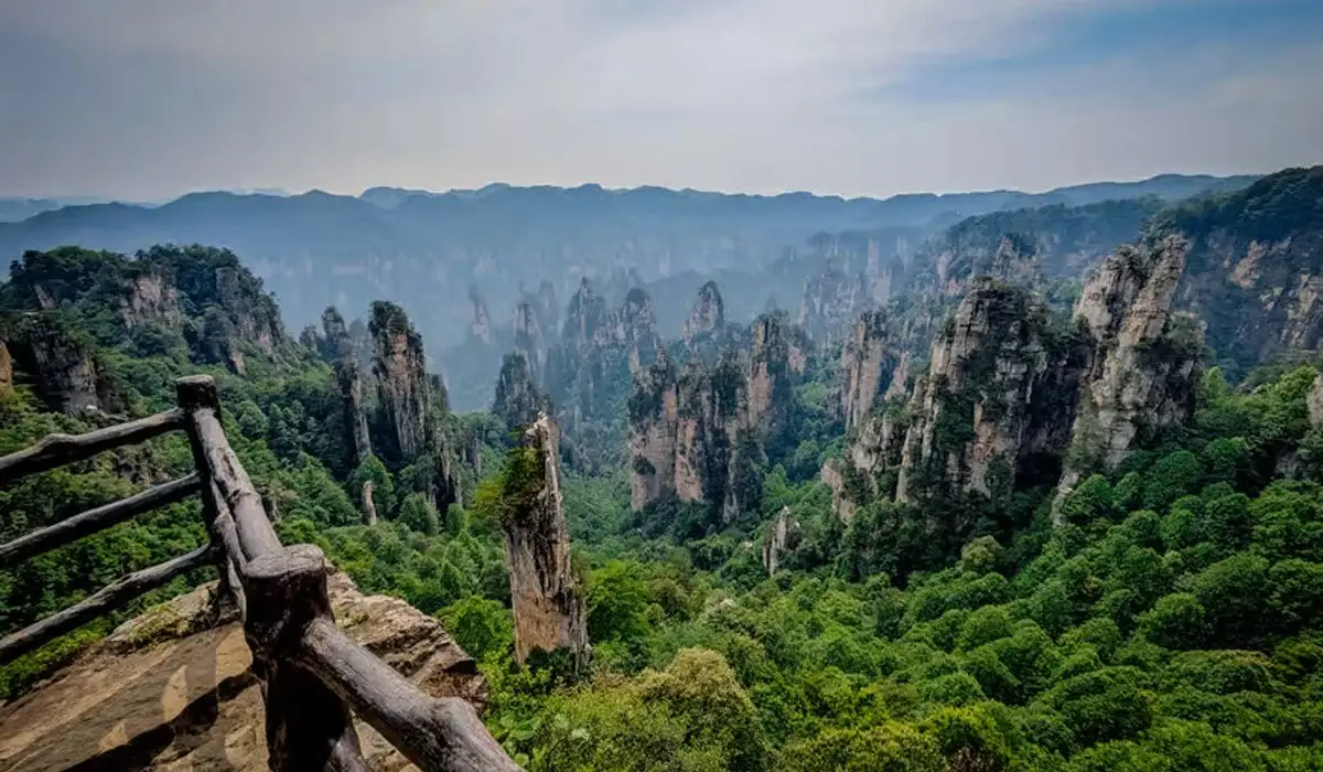 Jalur Wisata dan Spot Fotografi Terbaik di Zhangjiajie