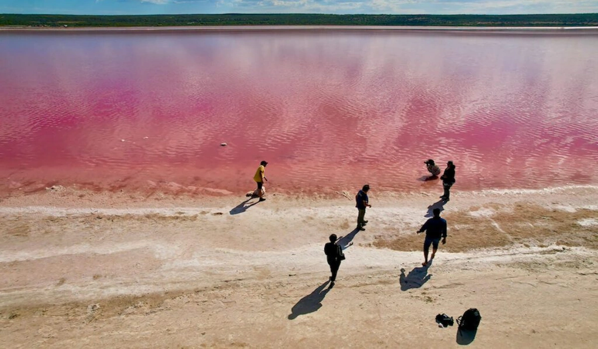Aktivitas-Wisata-Menarik-di-Hutt-Lagoon