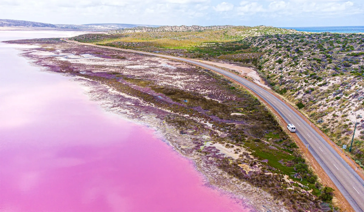 Keindahan-Hutt-Lagoon,-Danau-Unik-Berwarna-Merah-Muda