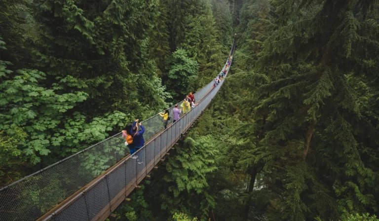 Menyeberang di Atas Ketinggian Pesona Capilano Suspension Bridge