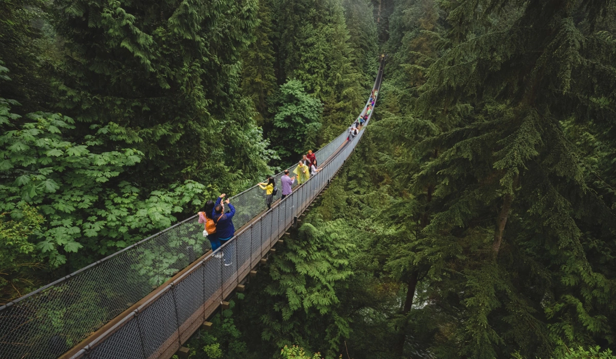 Menyeberang-di-Atas-Ketinggian-Pesona-Capilano-Suspension-Bridge