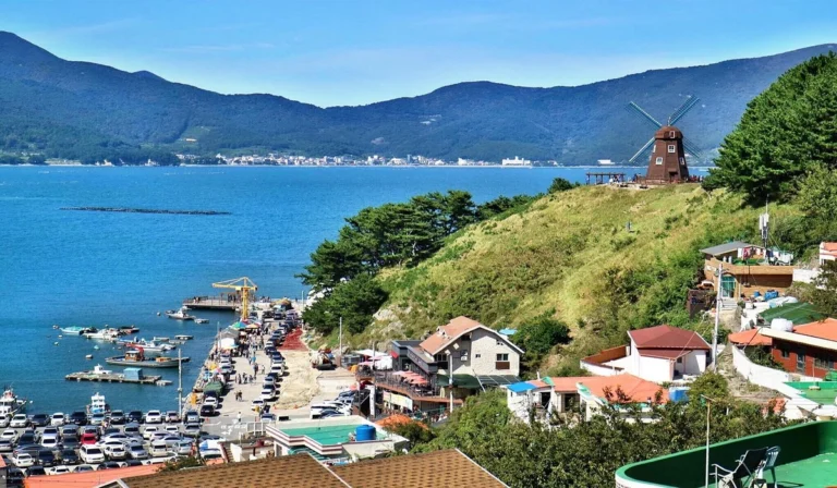 Windy Hill Pesona Alam yang Memikat di Balik Bukit Hijau