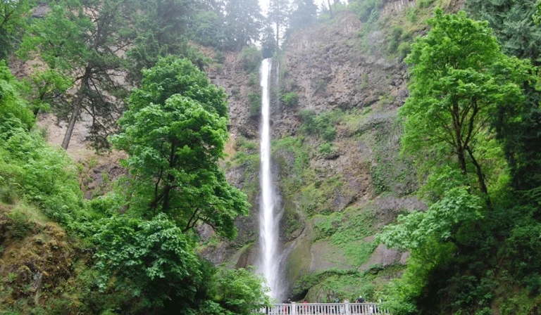 Columbia River Gorge: Keajaiban Alam Amerika dengan Pesona, Sejarah, Dan Pelestarian