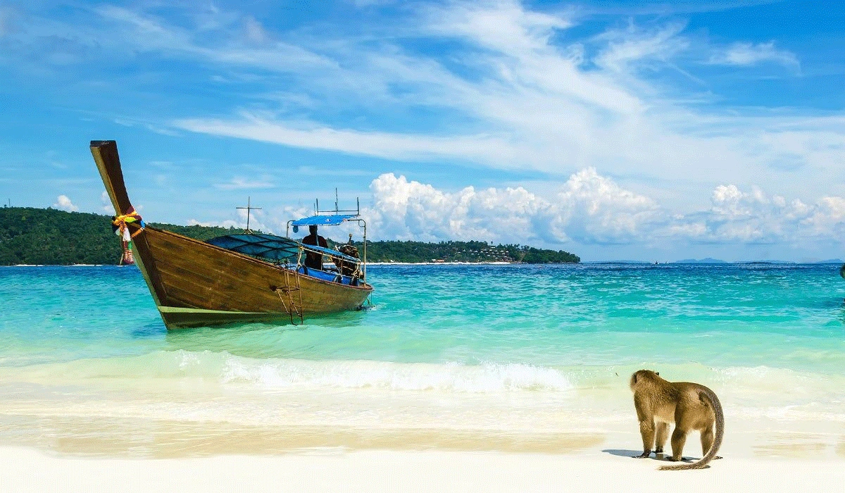 Monkey Beach Thailand, Keindahan Alam Dan Keriangan Para Monyet Di Surga Tropis Phi Phi