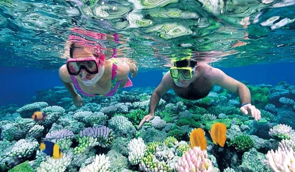 Pulau Mnemba, Surga Tersembunyi Di Tanzania Yang Memikat Hati Wisatawan