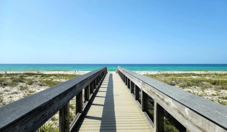 Henderson Beach State Park, Pasir Putih dan Alam Memukau di Florida