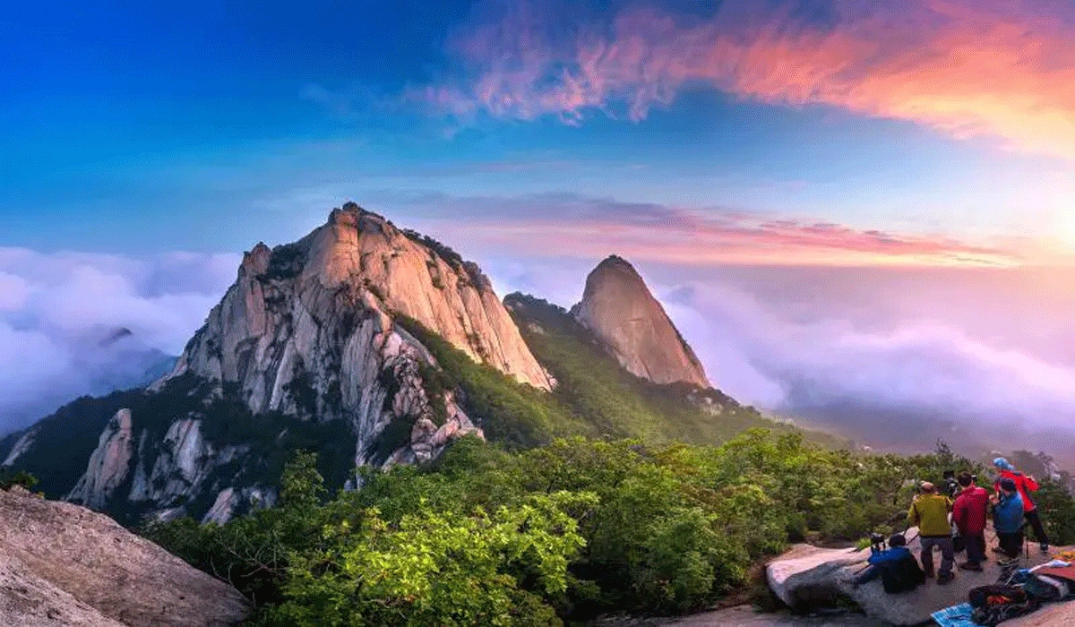 Keindahan Alam dan Flora Fauna Bukhansan