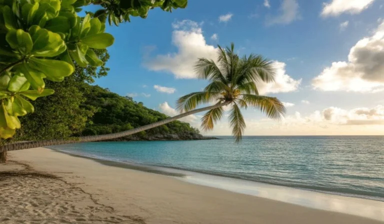 Karibia Tropis Dunia dengan Pantai Eksotis Budaya Hidup