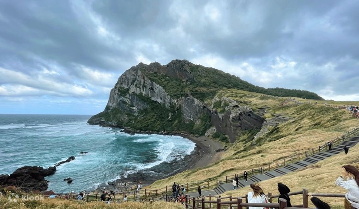 Menjelajah Udo, Pantai Putih Ladang Canola dan Tradisi Lokal