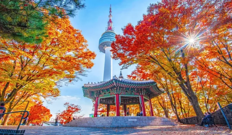 Namsan Mountain Park, Oase Hijau Di Jantung Seoul Yang Memikat Hati
