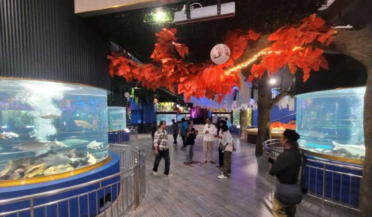 Pesona Akuarium Tabung Jumbo Pertama Di Jawa Tengah